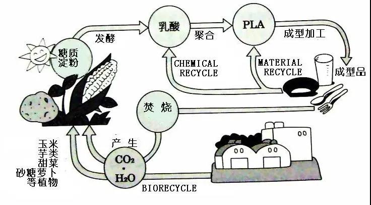 可生物降解環(huán)保塑料可以回收再利用嗎？(圖4)